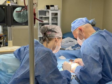 ������������ ������� ����������� ������ 18-������ ������� ����� ������� �� ���������� � ���������