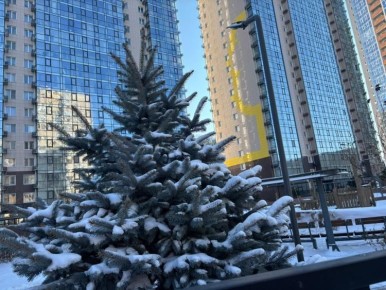 В Приморье перед резким похолоданием пройдет небольшой снег - ПРОГНОЗ