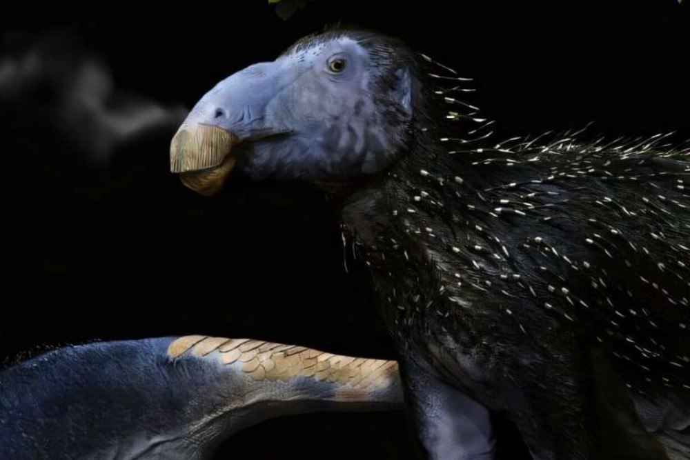 Дракон-ёжик, инопланетный клад и затерянный мир майя