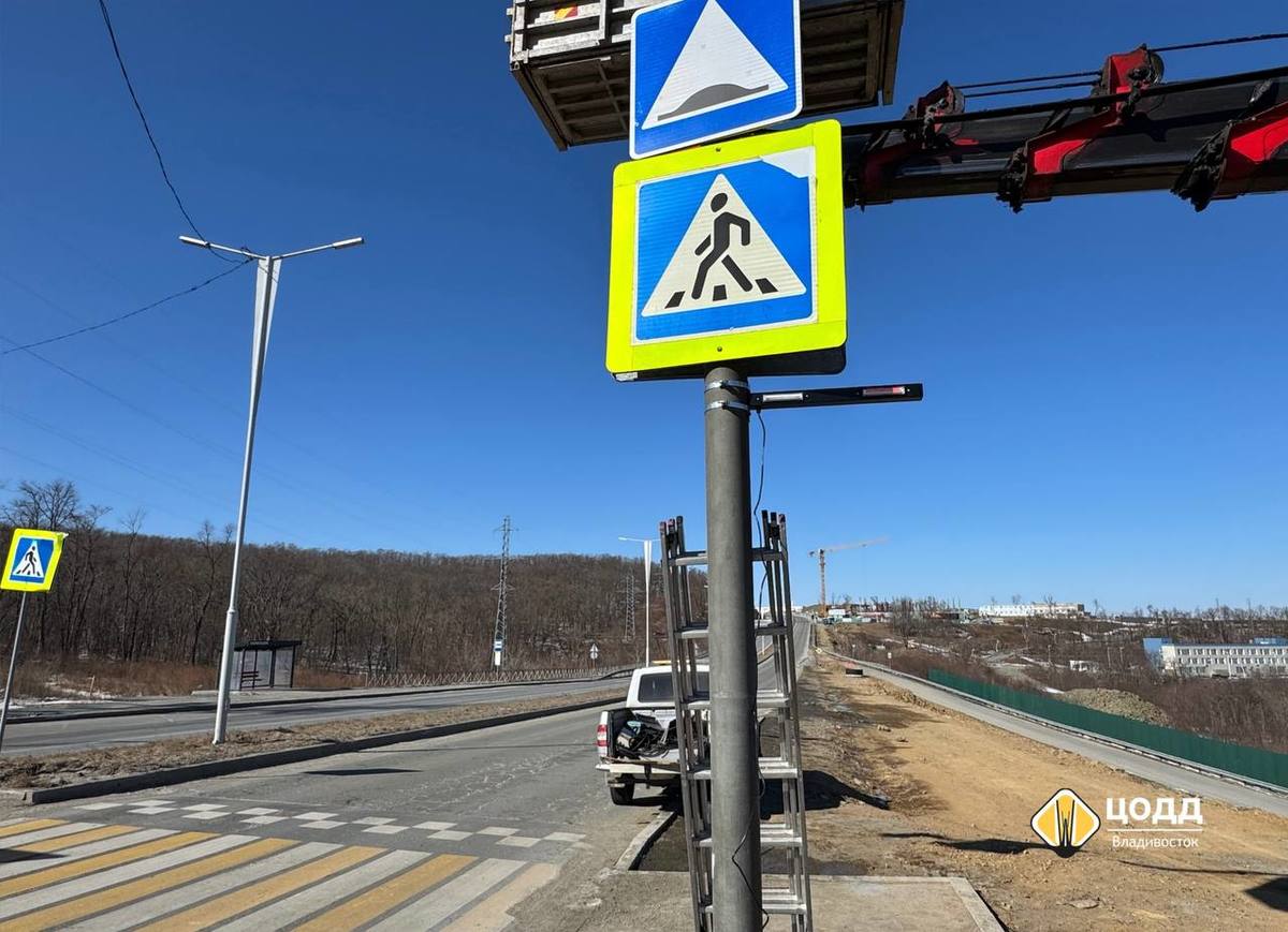 На Русском острове установили специальные шериф-балки для привлечения внимания водителей На Русском острове установили специальные шериф-балки для привлечения внимания водителей