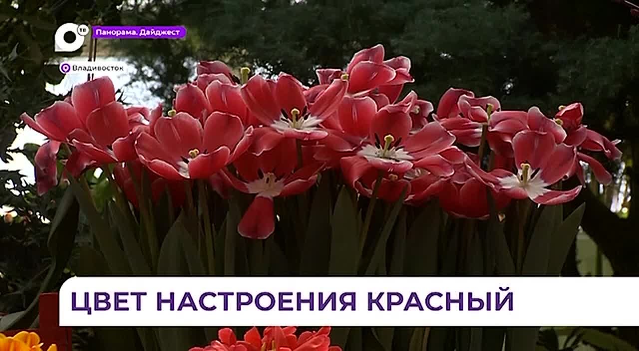 Ботанический сад во Владивостоке готовится к встрече весны