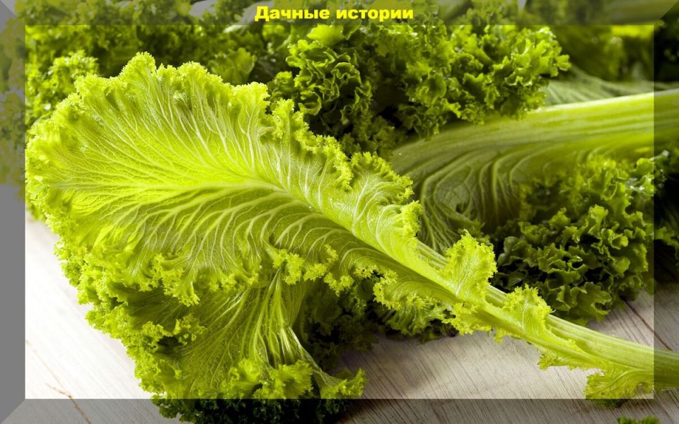 ��������� �������� ��� ������ ������� ������: ��� ����� ����������� � ���� ����