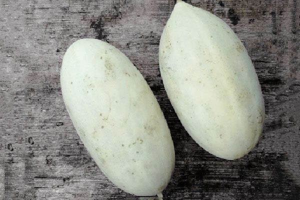 ���� �����: �������� � ������ �������