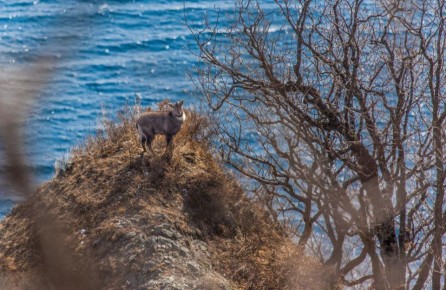 � �������� ��������� ������������, ����������� ������ ������� ������������ � ��������� ���� �������������