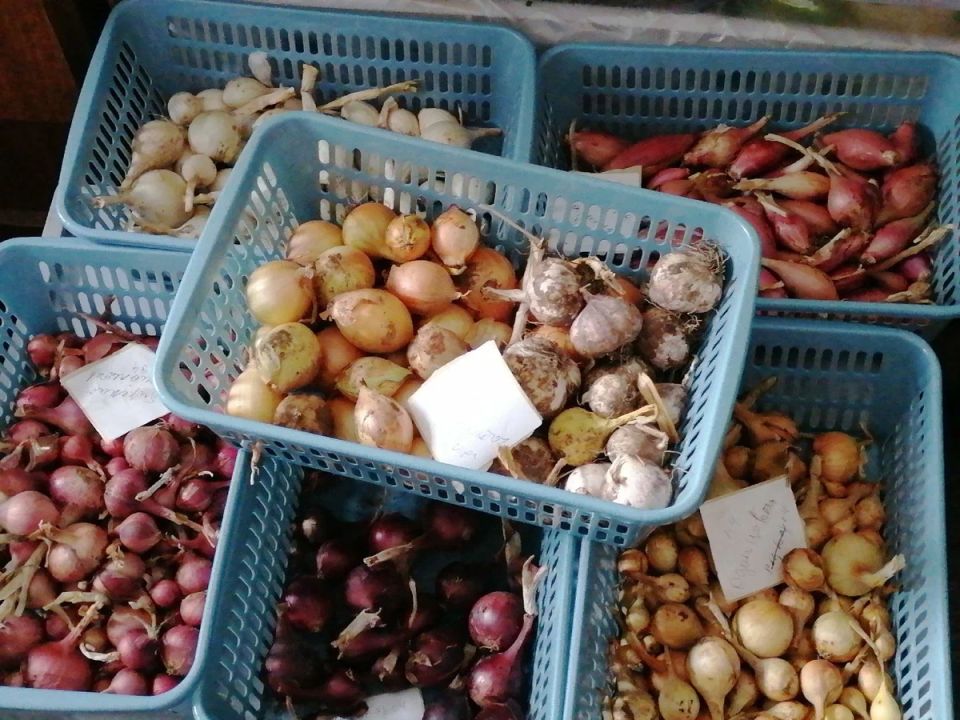 ����������� ��������: ����� �� ����� �� ���� ����?