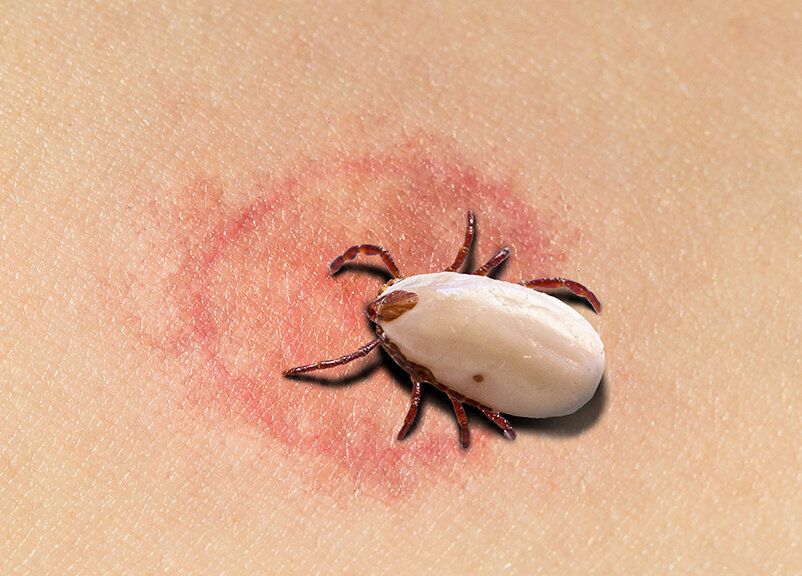 ���� �����: ��� ����� �����, ����� �������� �����������