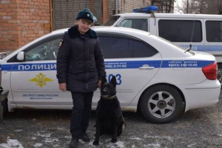 � �������� ��������� ������ �������� ������� ����������� ��������� �������������� � ���������� ������� ����� ��������