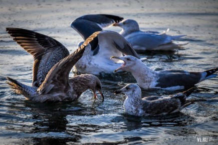 ������� �� ������������ ��� ������� � �� +5 �C