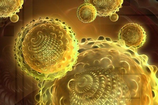 Вирусные гепатиты: особенности А и Б