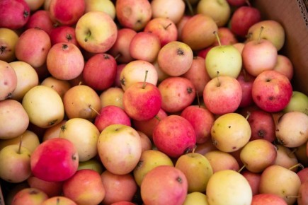 Фермеры ждут своих покупателей на ярмарках Владивостока в эти выходные