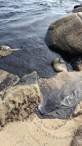 � ���������� ����� �������� ������� ����������� ��� ����� ���������: