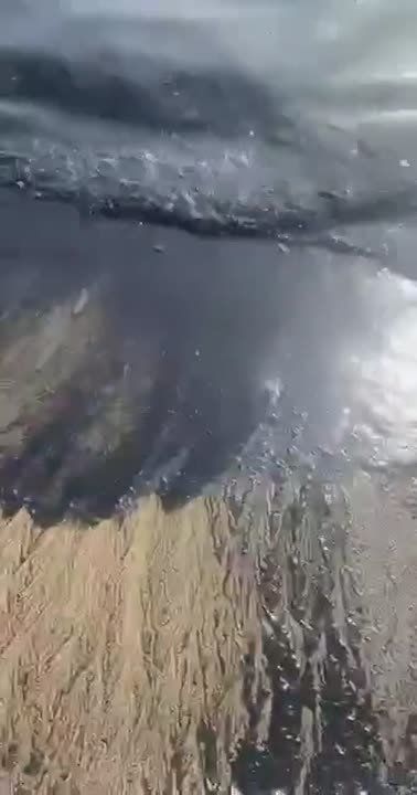 Море почернело в бухте Врангель