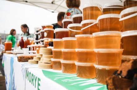 �������� ����������� ������ � ����� �������� ���������� �������� ������