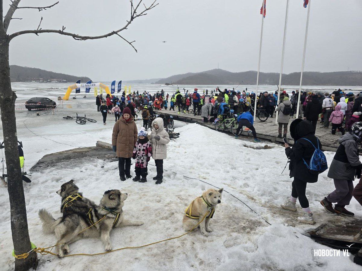 На Русском острове десятки спортсменов и любителей готовятся к выходу на лёд На Русском острове десятки спортсменов и любителей готовятся к выходу на лёд