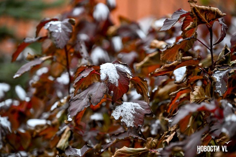 Доброе утро, Владивосток!. Сегодня воскресенье, 22 февраля