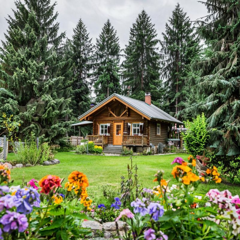 Подготовка хвойных растений к зимним испытаниям: что важно учесть