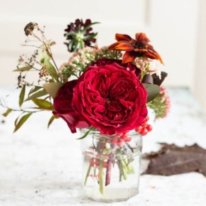 �������� ��� ���������: ���� Tess �� ������