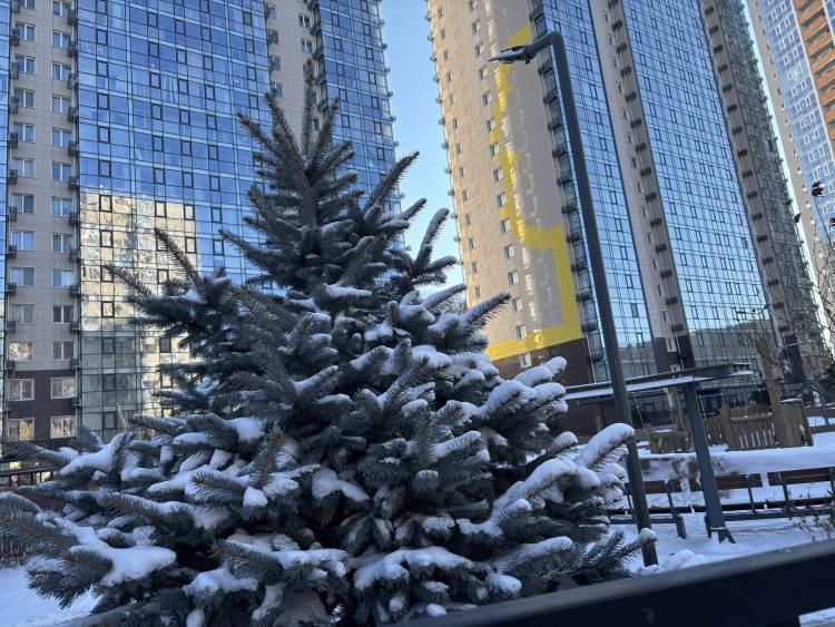 Зима возвращается: Владивосток ждет снежная неделя - ПРОГНОЗ