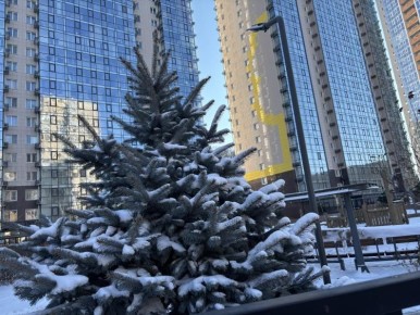 Зима возвращается: Владивосток ждет снежная неделя - ПРОГНОЗ