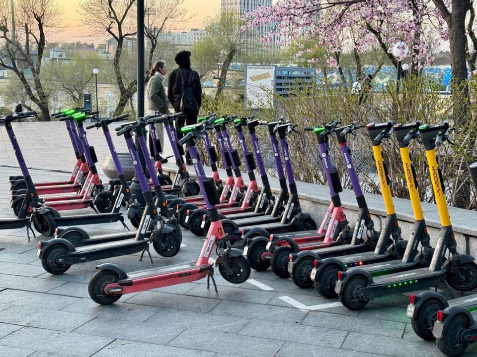 Власти Приморья предлагают принять новые правила для электросамокатов