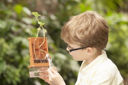 ��������� ��������: ��� ������ ������� ��������� �������