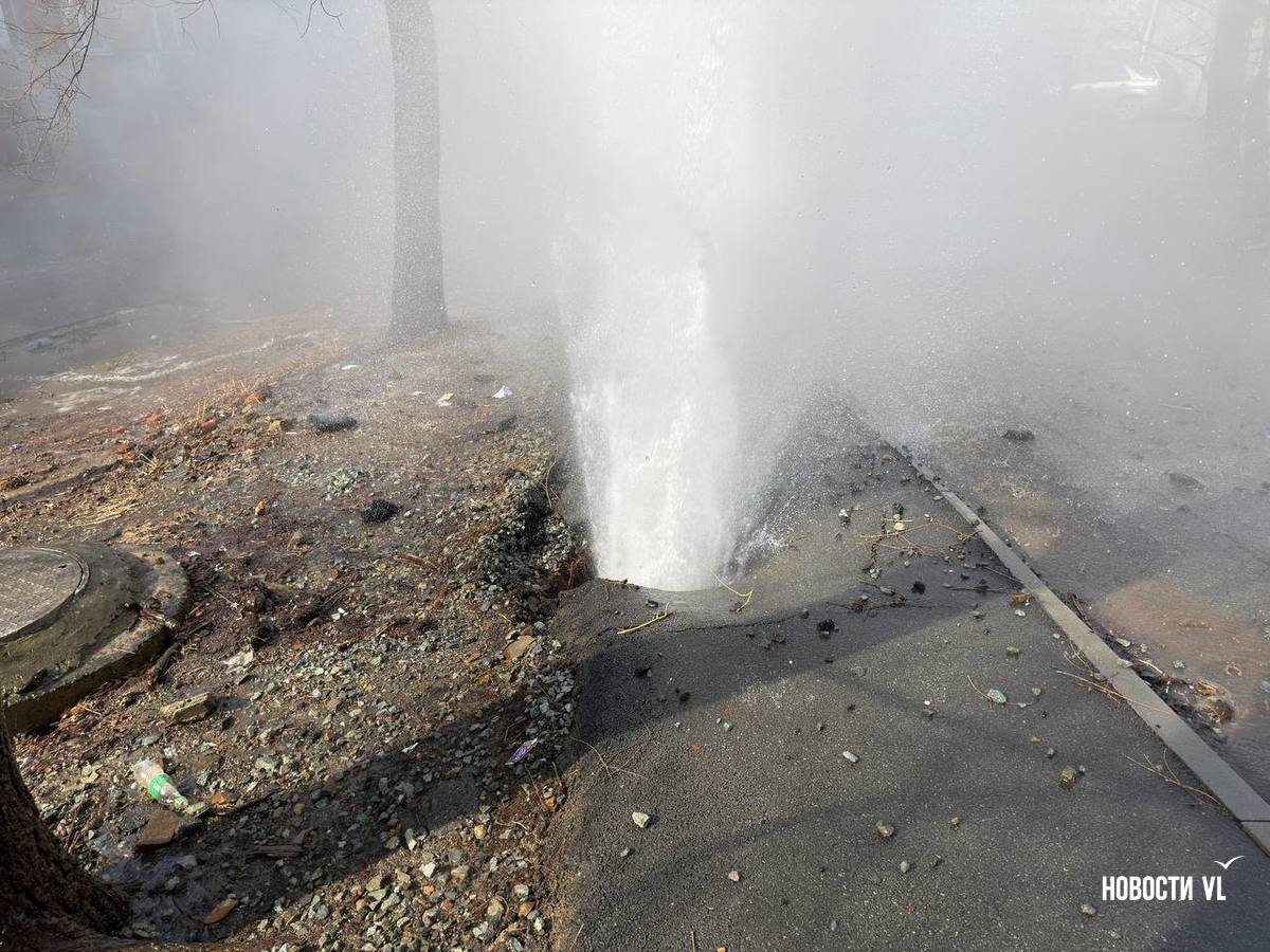 Во ВПЭС сообщили, что специалисты уже устраняют технологическое повреждение на теплосетях в районе Адмирала Юмашева, 18. Зафиксирована утечка воды