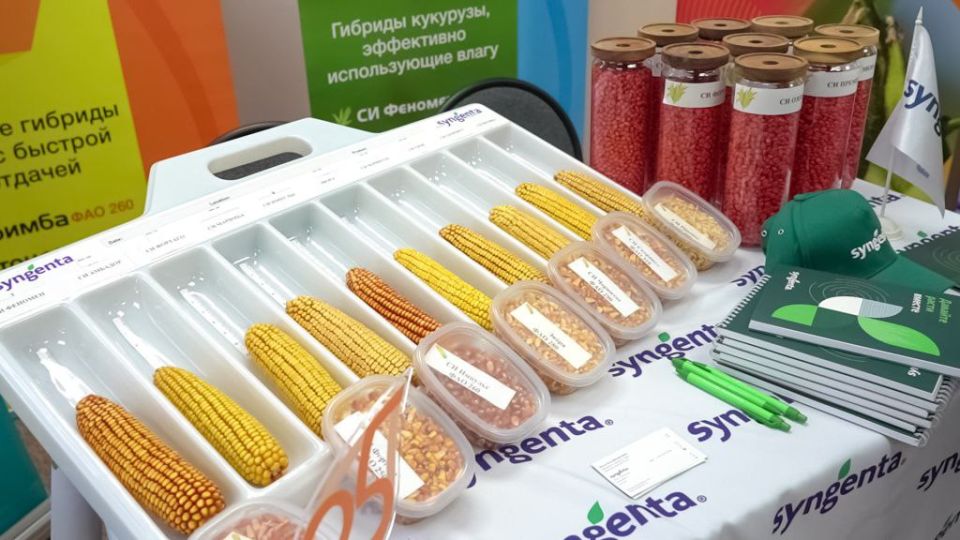 � �������� ������������ ������ � ������� ���� � ����� ������� ������������ ��� ����������� �������� � ���