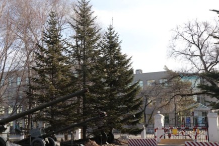 Доброе утро, Уссурийск!. Сегодня вторник, 11 ноября — отличное время продолжать начатое и уверенно двигаться к своим целям