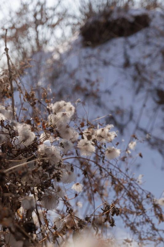 � ������� #������� - ����������� ������������ �������� ������-���������� �����, ��������������� ��������, �������� � ��������� ����� � ������ ���������������� ������������� �����-����������� ������� �������� ������� �����...