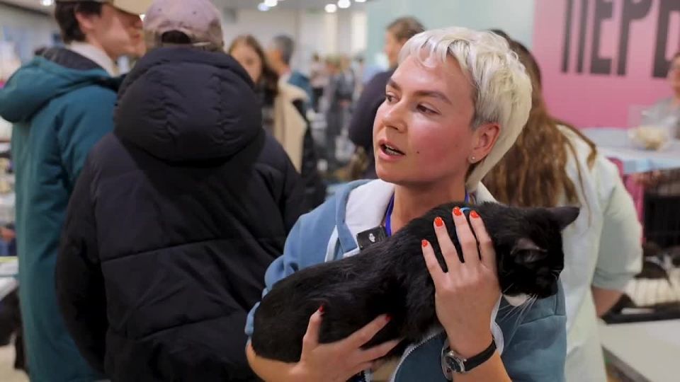 �� ������������ ������ ������ ��������-������� ��������, � � ��� � ���������� �����