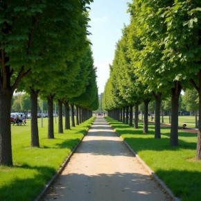 ���������� ����� ������� ������������ ����� ���� �� ������� ����� � ��������� ����� ������� ������ � ����� ����������� ��� �������� ���������