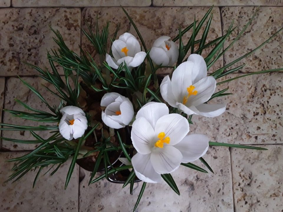 ������ ���������: ��� ��� ��������� � 12 �������