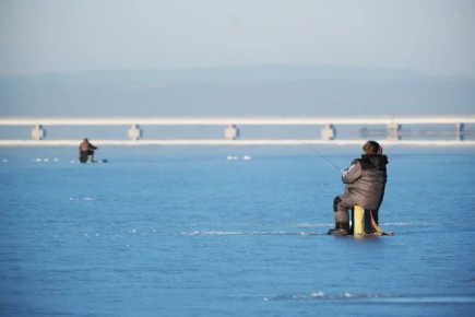 �� ������� ��������� ����������� ������� � �������� ������ ���������� ����������� ������� ������������� ���������� ����