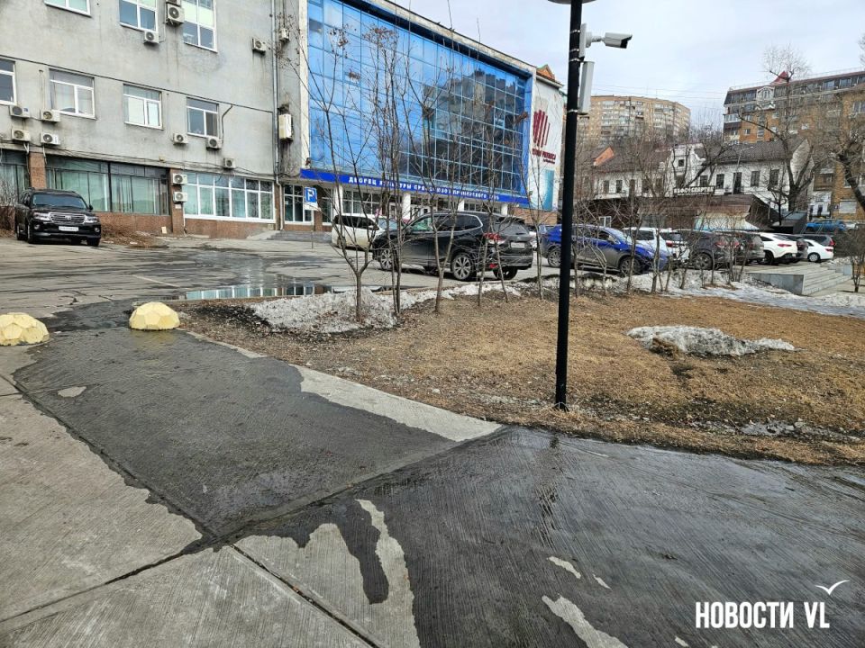 ����� ������ � ������ ��������� ���� �������� ���������������� �����������