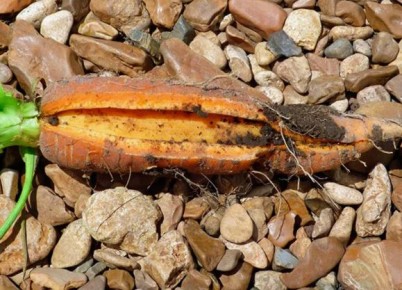 ������� ���������� � �������: ��� ���������� � ���������