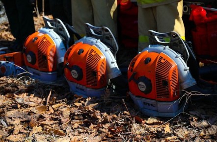 В крае утверждены сроки начала пожароопасного сезона