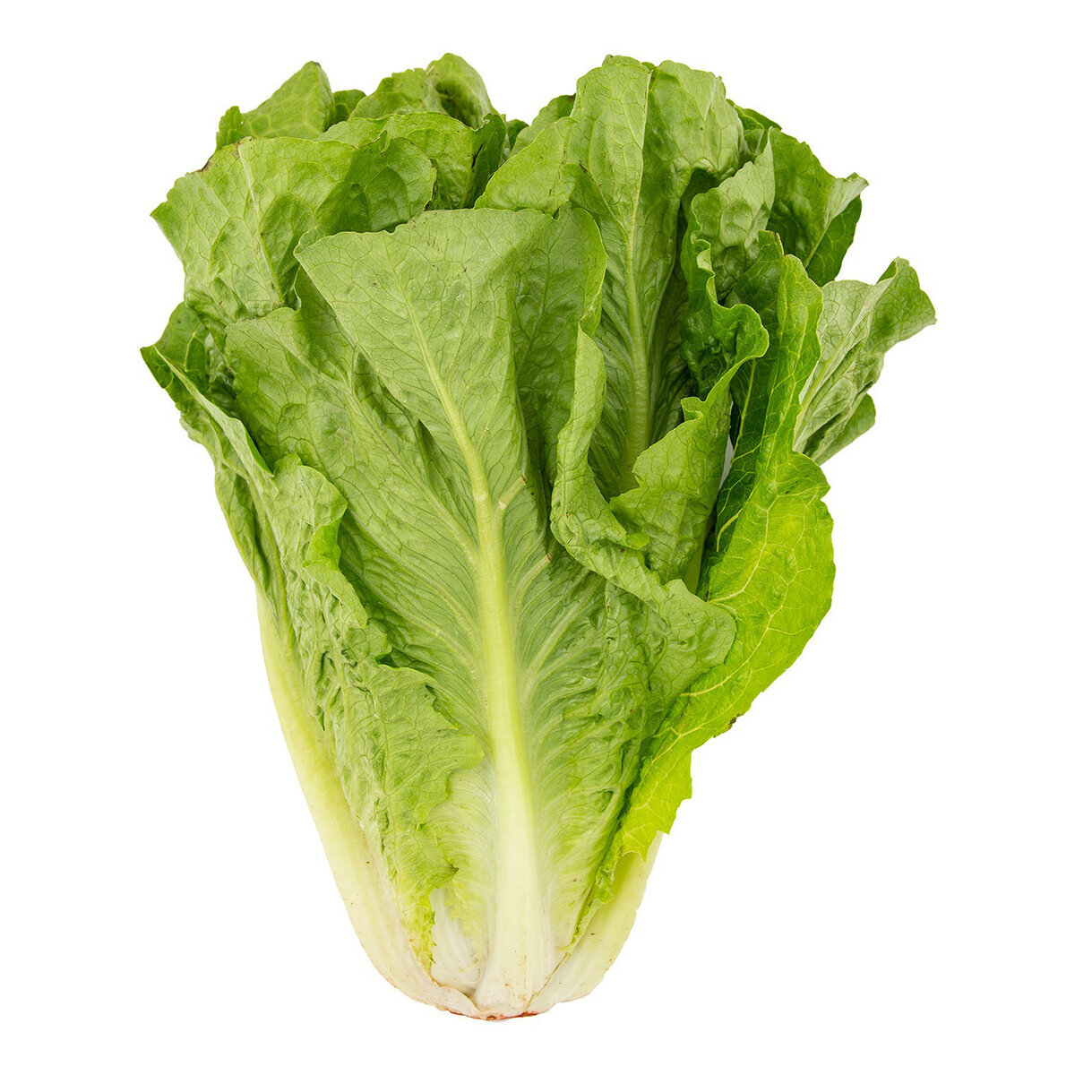 Насладитесь ярким сочетанием авокадо и апельсина в салате с Романо