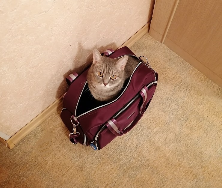 Сборы на новый лад: как упаковать не только вещи, но и эмоции