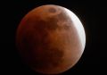 Приморцы могут увидеть «кровавую» Луну