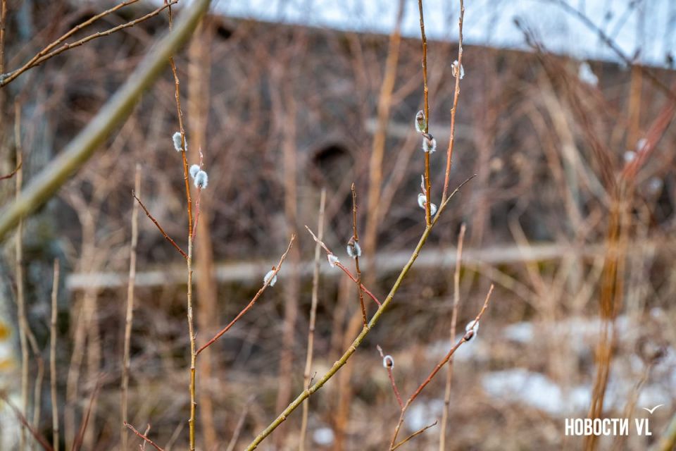 �� ������� ������� ��� ����� ������� ������������ �����