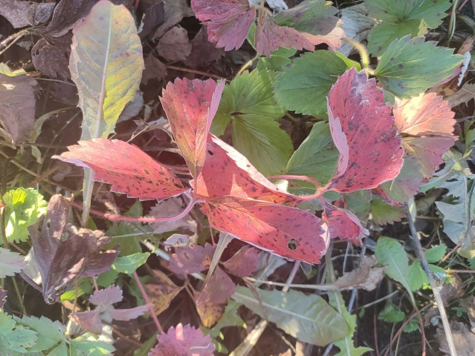 ����� ����� � � ����������� ��� ���������� ���������