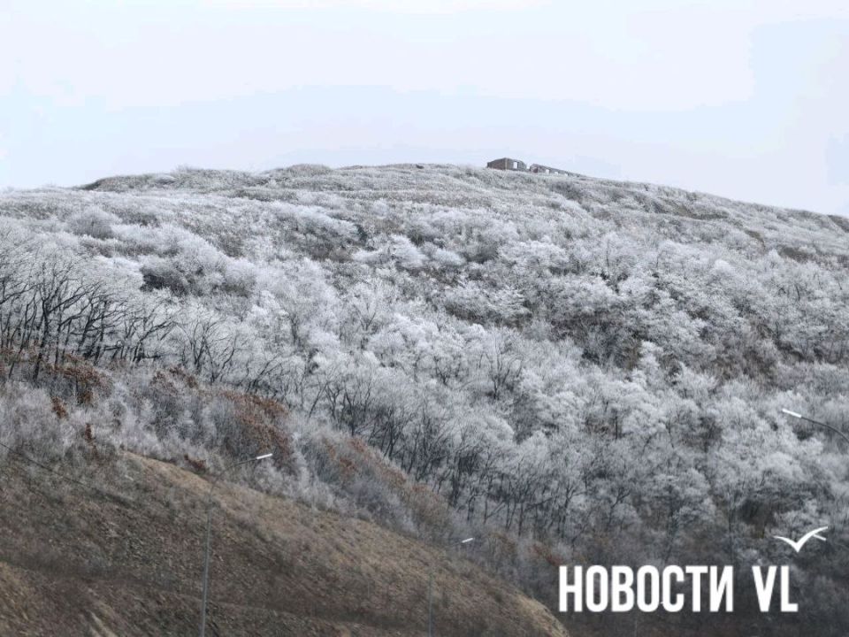 �� ����� �� ������� �������� ��������