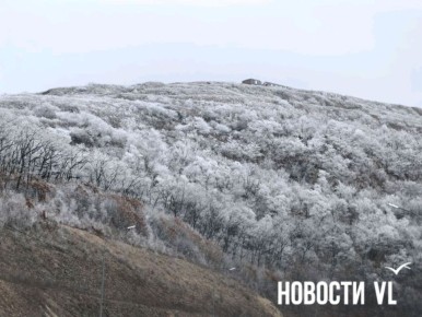 Ну какая же сегодня красивая изморозь