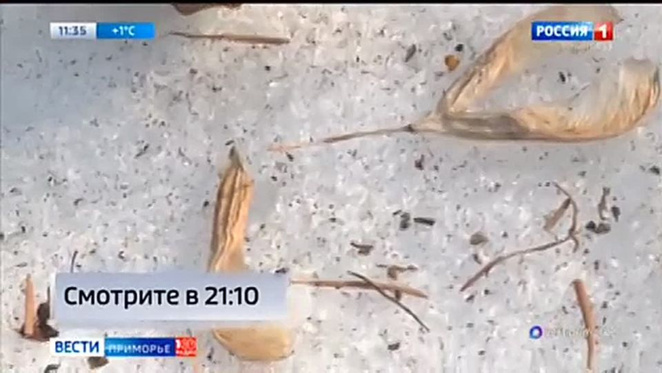 ���� ����� ��������� � ���� ���������� �������