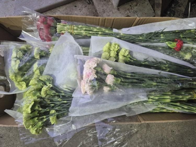 ���������� ��������������� ����������� ����������������� ������� ������� ���� �� �������������� ������ � ������ �������� ������������ ���������