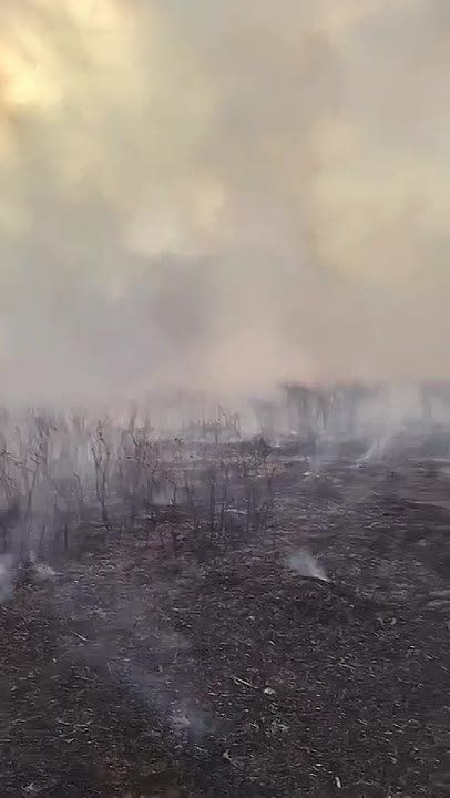 ������� ��������� ����� �� 4,9 ���