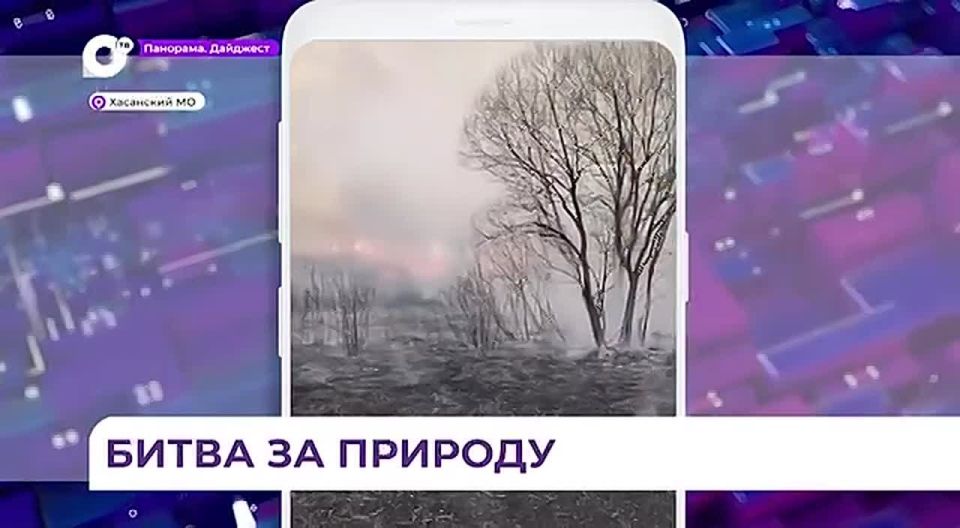 � ���������� ���� ������������ ������� �����