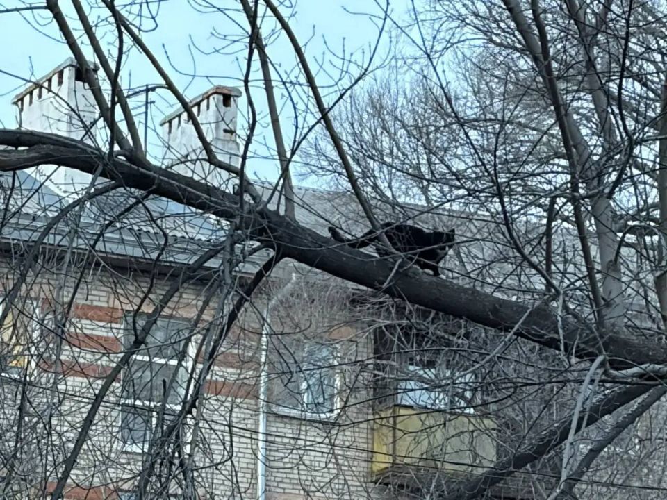 ������ ����, ���������!. �������, 26 �������, �� ��� ���� �������� ���� �������������� - ����������� � ���, ��� ����� ������ �������� ���� � �������� ����� ��� ����