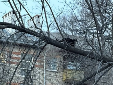 Доброе утро, Уссурийск!. Сегодня, 26 февраля, во всём мире отмечают День неторопливости - напоминание о том, как важно иногда сбавлять темп и находить время для себя