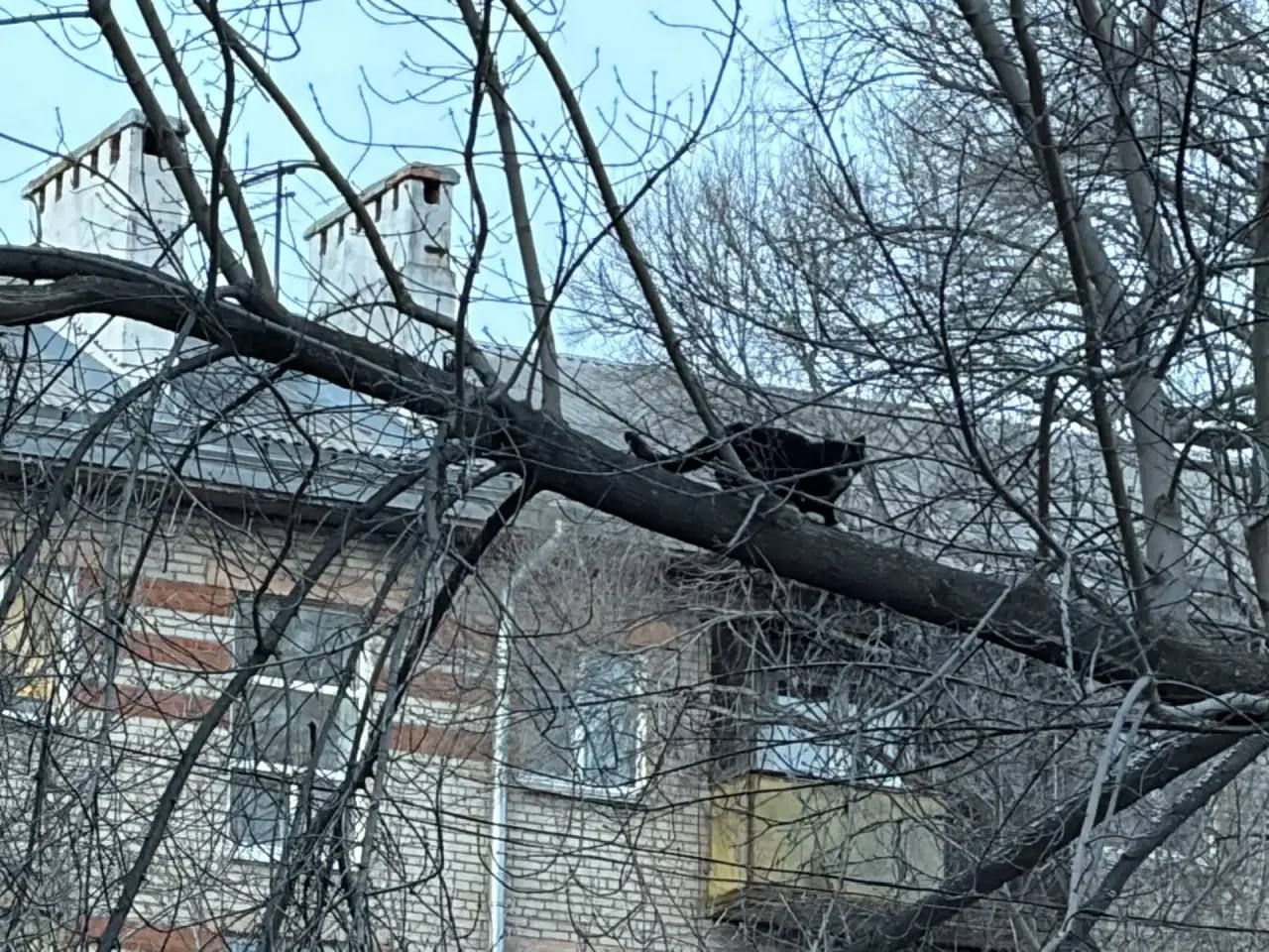 Доброе утро, Уссурийск!. Сегодня, 26 февраля, во всём мире отмечают День неторопливости - напоминание о том, как важно иногда сбавлять темп и находить время для себя